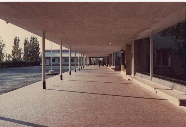 Grafica 7 delle 80  -  56 kB